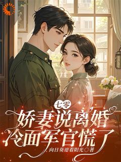 《七零，娇妻说离婚，冷面军官慌了》小说全文精彩阅读 沈黎书贺萧小说全文