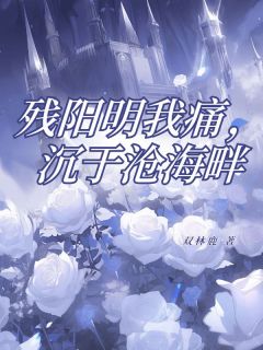 《残阳明我痛，沉于沧海畔》小说全文精彩试读 《残阳明我痛，沉于沧海畔》最新章节列表
