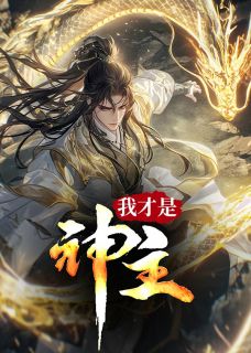 《林墨散尽八转神功，以凡人之资重修第九转》小说章节目录免费阅读 林墨柳音希小说阅读