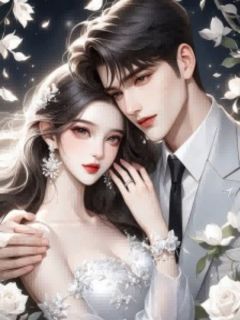 《苏星辰裴泽》小说章节目录免费试读 裴泽苏星辰何娇小说阅读