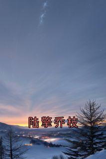 陆擎乔枝精彩章节免费试读 乔枝陆擎小说结局无删节