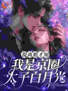 提离婚才知，我是京圈太子白月光宁穗季晏辞小说全文免费阅读