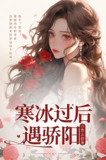 《寒冰过后遇骄阳》苏时雨陆明川章节列表免费阅读