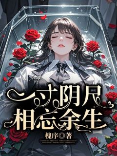 盛知秋陈清焰by槐序 一寸阴尺相忘余生免费在线全文阅读