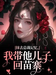 抹去总裁记忆，我带他儿子回苗寨小说全文免费阅读 梨尤笙裴景澈章节目录完整版