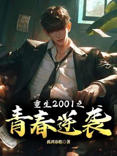 《叶枫做了一个很久很沉的梦》小说全文在线试读 叶枫李蔓小说全文