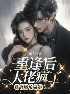 重逢后大佬疯了，竟撬墙角逼婚by澜七 禾念安傅璟忱在线阅读