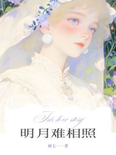 《明月难相照》最新章节免费阅读（完整版未删节）
