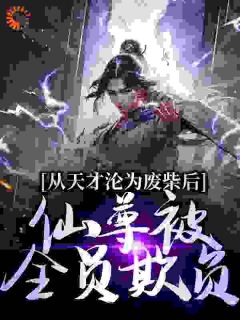 从天才沦为废柴后，仙尊被全员欺负宋飞宋铭 从天才沦为废柴后，仙尊被全员欺负在线阅读