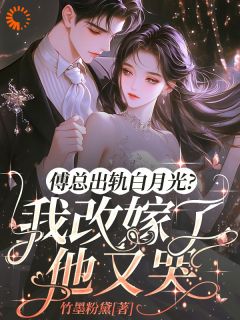 小说《傅总出轨白月光？我改嫁了他又哭》冷芷凝傅沉钧全文免费阅读