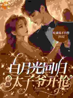 白月光回归，京圈太子爷开抢陆妄辞虞晚颜_白月光回归，京圈太子爷开抢章节