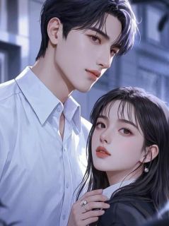 云妍景城全文目录 再见时，她已不在免费章节阅读