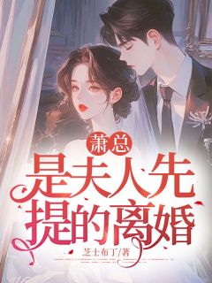 萧总，是夫人先提的离婚免费阅读(林裳裴景萧全本资源) 无广告