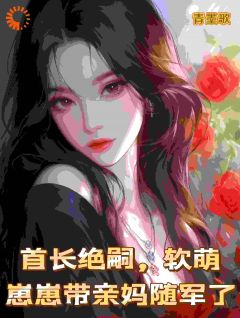 《婆婆别虐了！你家都被偷光了》苏圆圆陆正安大结局精彩阅读