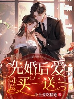 《先婚后爱，司总买一送一》林安安司珑夜小说全部章节目录