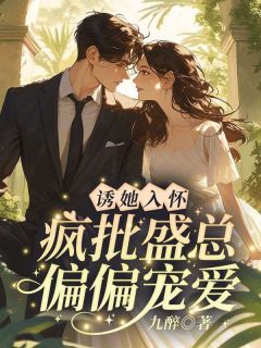 祝鸢盛聿小说 《诱她入怀，疯批盛总偏偏宠爱》小说全文精彩试读