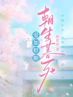 《爱如蜉蝣，朝生暮死》沈栀晏淮小说全文免费阅读