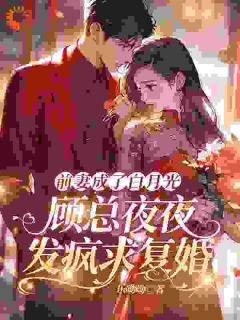 《被蓄意报复？大小姐她转身嫁大佬》全文精彩章节在线阅读（姜幼笙顾北琛）