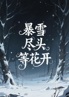 《暴雪尽头等花开》苏棠陆沉章节目录免费试读