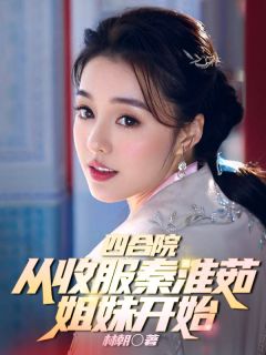 四合院：从收服秦淮茹姐妹开始小说 何雨柱秦淮茹在线阅读