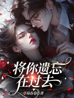 《将你遗忘在过去》陆迟孟听岚大结局在线阅读