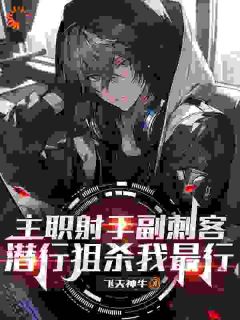 《主职射手副刺客，潜行狙杀我最行》小说章节目录免费阅读 陆沉小说全文