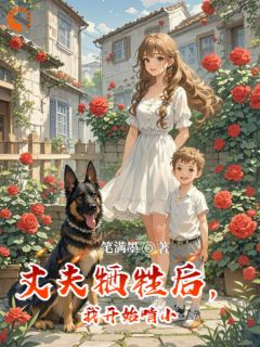 懒妻新篇章：丈夫牺牲后，她崛起了卓乐卫天下小说全文章节目录免费试读