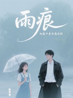 《雨痕：听雨和你心跳的分贝》沈砚林晚章节目录在线阅读