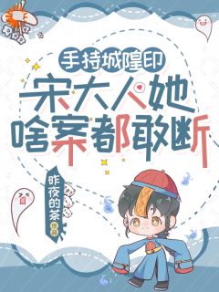 宋铮宋子安书名叫什么_替兄上任，我成了最牛神探