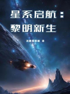 《星系启航：黎明新生》楚星辰林沐雨小说在线阅读