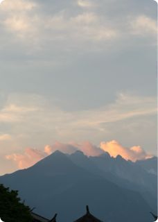 《假死丈夫？我让他真死！》全文精彩章节在线阅读（顾承安白月莲顾婷婷）