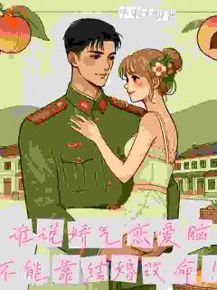 谁说娇气恋爱脑不能靠结婚改命！苏念乔陆湛北全文在线免费阅读