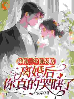 美文阅读《舔你三年你装瞎！离婚后你真的哭瞎了》温知妤陆湛全文精彩章节列表试读