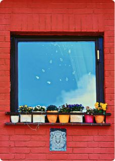 《一杯酒，我就让他倾家荡产》完结版精彩试读 《一杯酒，我就让他倾家荡产》最新章节目录