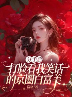分手后，打脸看我笑话的京圈白富美by洛洛 夏菀何之舟免费完整版