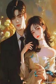 十年一朝与君辞(主角苏婉宁谢临渊沈浩泽) 十年一朝与君辞免费试读