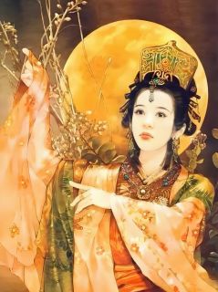 《屠户何皇后：我在东汉杀疯了》屠户董卓曹操全文免费试读