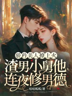 骄矜美人撩上火，渣男小舅他连夜修男德完整全文阅读 宋颜靳郁南小说结局无删节