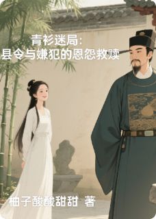 好书推荐《青衫迷局：县令与嫌犯的恩怨救赎》白清欢林砚之全文免费试读
