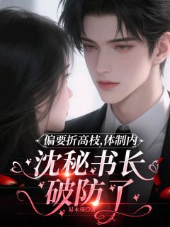 偏要折高枝，沈秘书长破防了宋岑汐沈京墨程清瑶小说大结局在线阅读