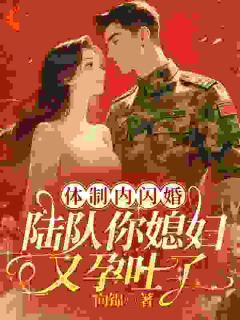 《体制内闪婚，陆队你媳妇又孕吐了》小说章节免费阅读 舒妍陆乘风小说阅读