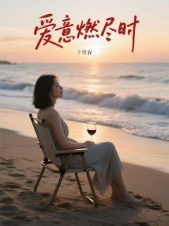 宋暖贺瑞阳何雨佳by十里春 爱意燃尽时在线阅读全文