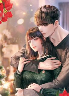 《假如我不曾爱过你》小说全文精彩阅读 《假如我不曾爱过你》最新章节列表