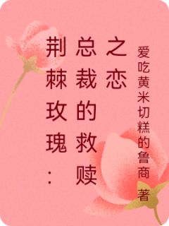 荆棘玫瑰：总裁的救赎之恋小说完整版在线阅读（主角林晚傅沉舟）