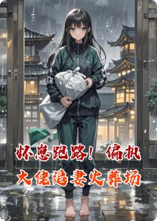 怀崽跑路！偏执大佬追妻火葬场季宴礼苏晚小说结局精彩章节全文