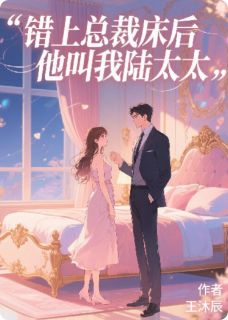 误闯顶楼后，他叫我陆太太(苏晚陆沉舟)全文完结在线阅读完整版