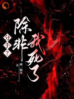 于舒宝陈津南书名叫什么_被病娇学霸盯上后，我被他锁死了