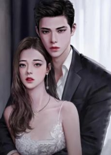 《可惜我们已不再相爱》全文及大结局精彩试读 宋清宴林半夏夏霜凝小说