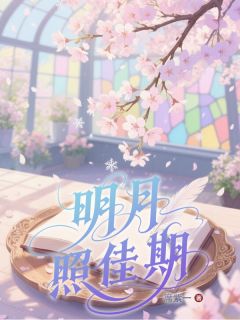 明月照佳期全文在线阅读 贝翎舒心全本无弹窗