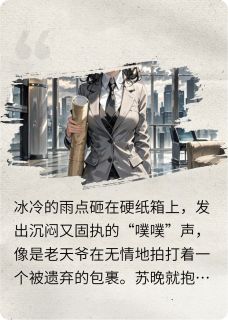 《造价女王》苏晚陆沉章节目录免费阅读